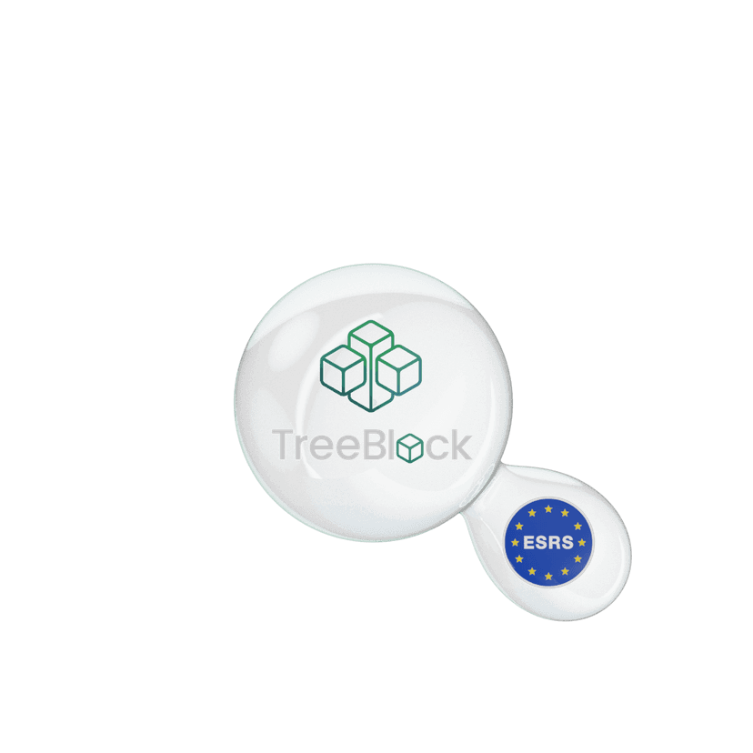 ESRS standard