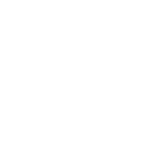 Logo white