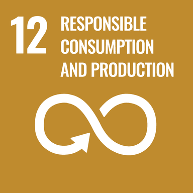 Sdgs goal 12