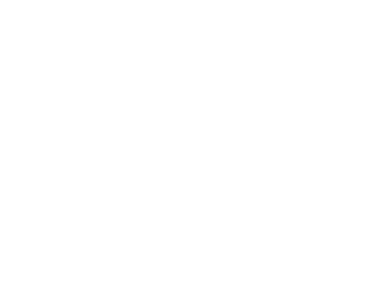 Sintec