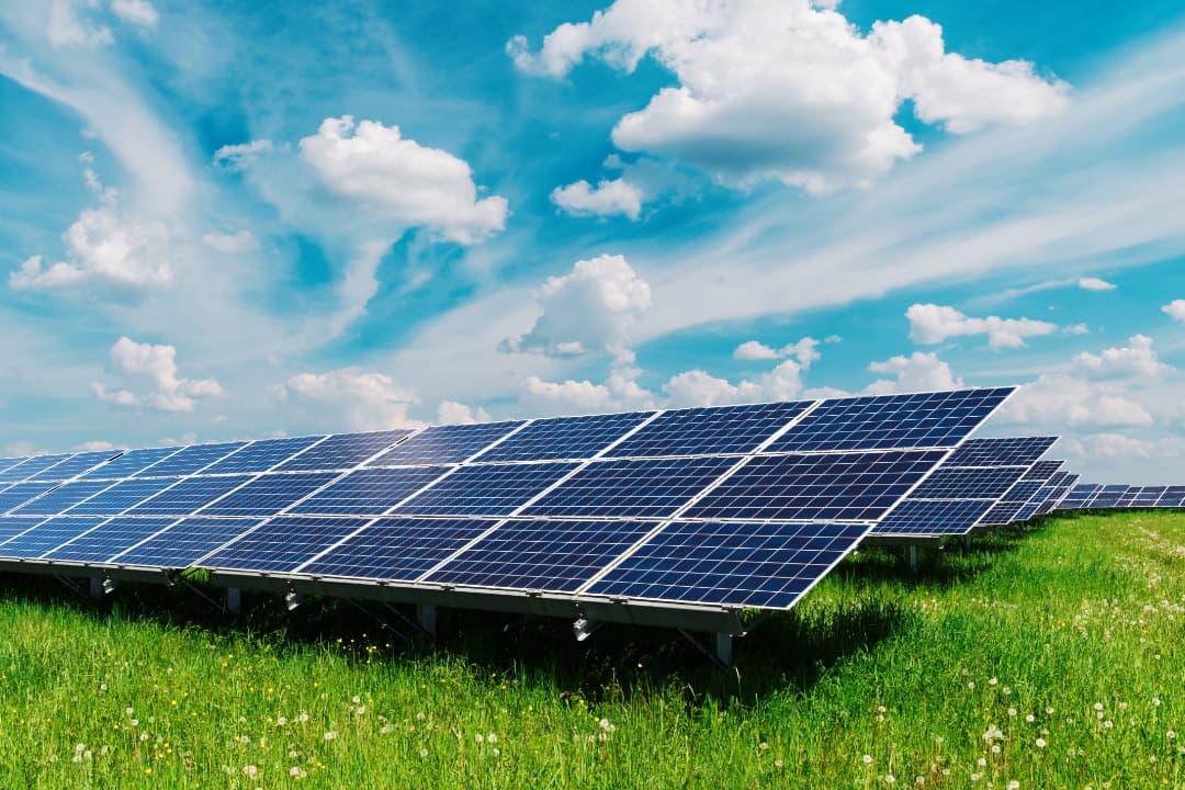 Pannelli solari su prato verde